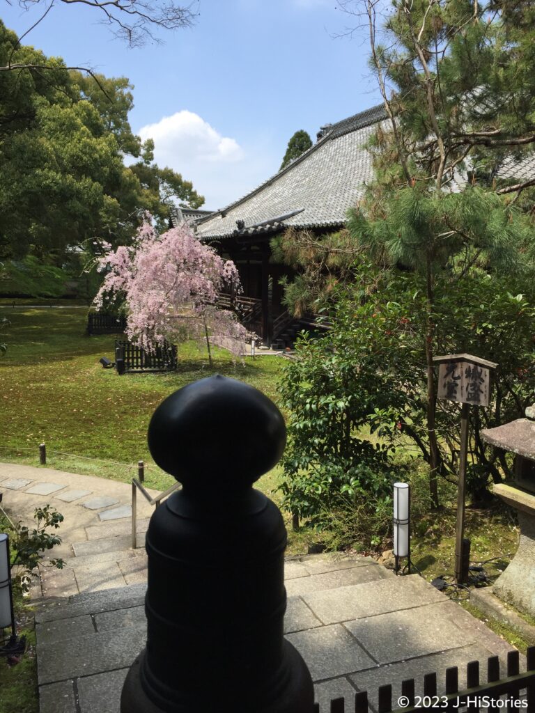 Shoren-in Temple Garden in Spring with Cerrry blossomes