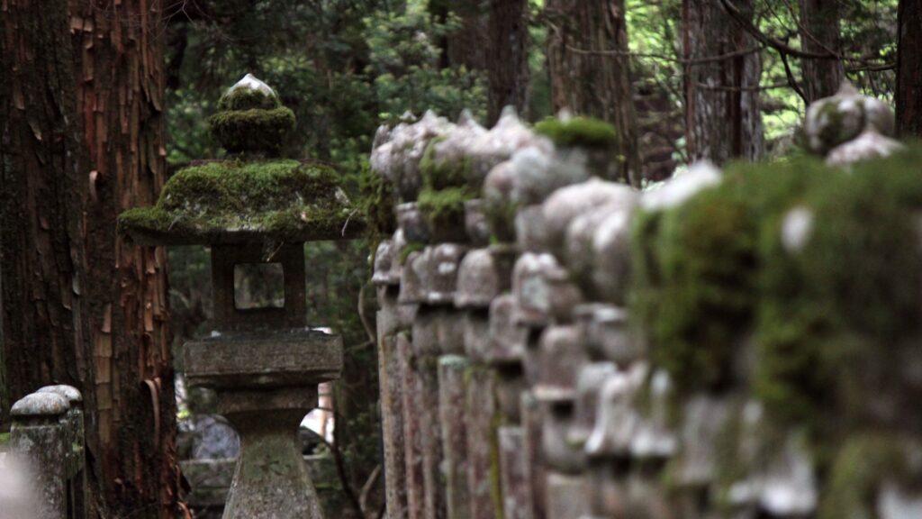Koyasan Okuno-in Gravestones along ceader trees_高野山奥の院
