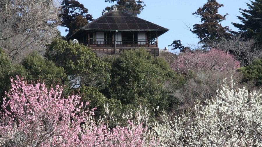 Kairakuen_偕楽園