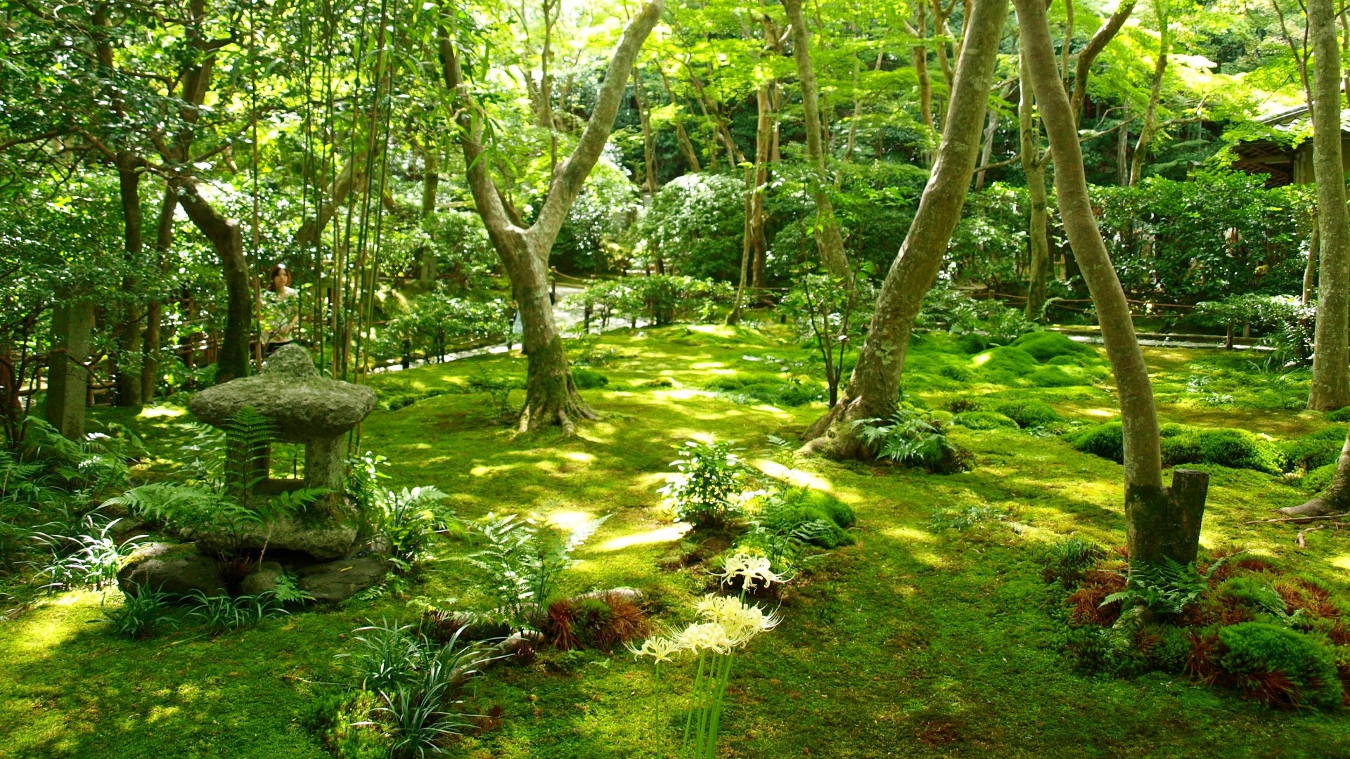 Saihoji (Moss Temple): The Zen garden was created by Monk and Nationl ...