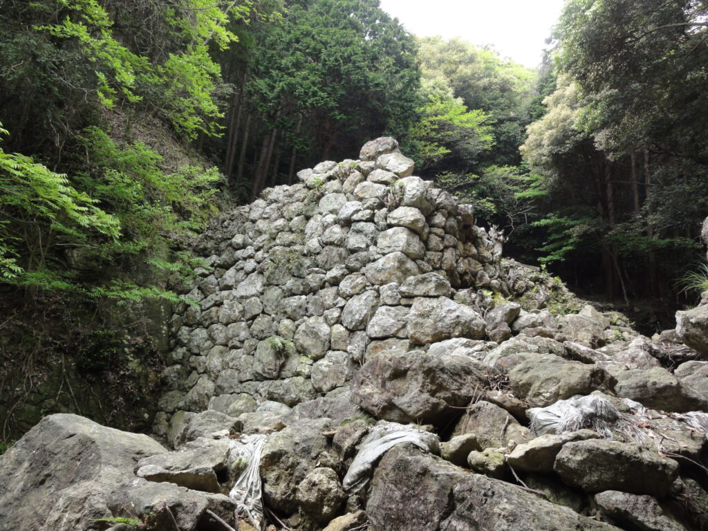 Kaneda Castle on Tsushima Island_対馬の金田城跡